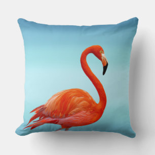 Almofada Belo Flamingo Rosa no Azul Céu Claro
