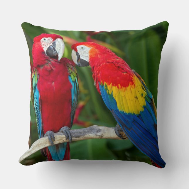 Almofada Belo Travesseiro decorativo de Casal Macaw (Frente)
