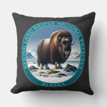 Bering Land Bridge National Preserve Alaska