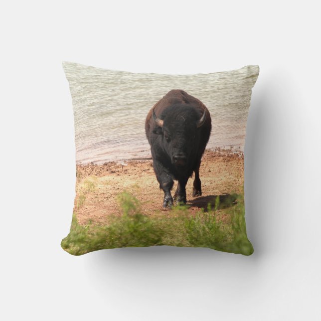 Almofada Bison Na Água (Frente)