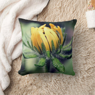 Almofada Black Eyed Susan Awakening