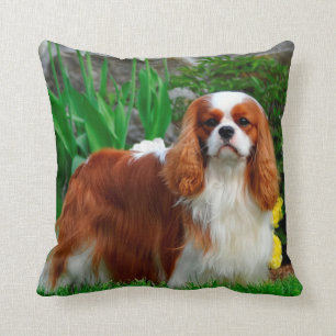 Almofada Blenheim Cavalier King Charles Spaniel Puppy Dog