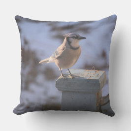 Almofada Blue Jay