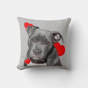 Almofada Bonita PopArt Colorida Bull Staffordshire