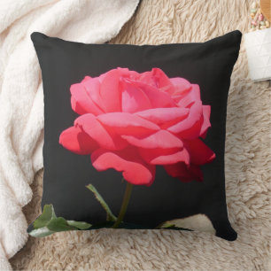 Almofada Bonita rosa rosa rosa rosa perto do Travesseiro