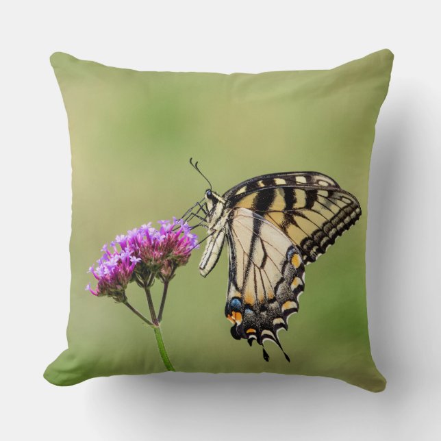 Almofada Borboleta do Swallowtail do Tigre Oriental (Frente)