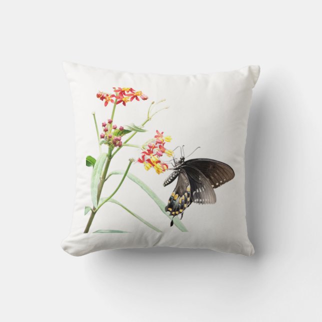 Almofada Borboleta em Milkweed Blooms, Travesseiro decorati (Frente)