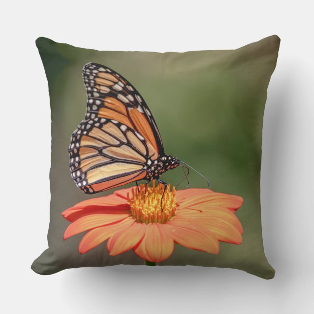 Almofada Borboleta Monarca numa flor de laranja (Frente)