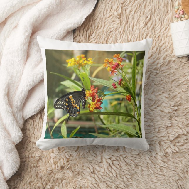 Almofada Borboleta Negra Swallow #2 (Cobertor)