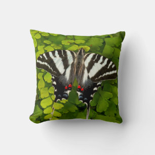 Almofada Borboleta Rabo de Andorinha Americana