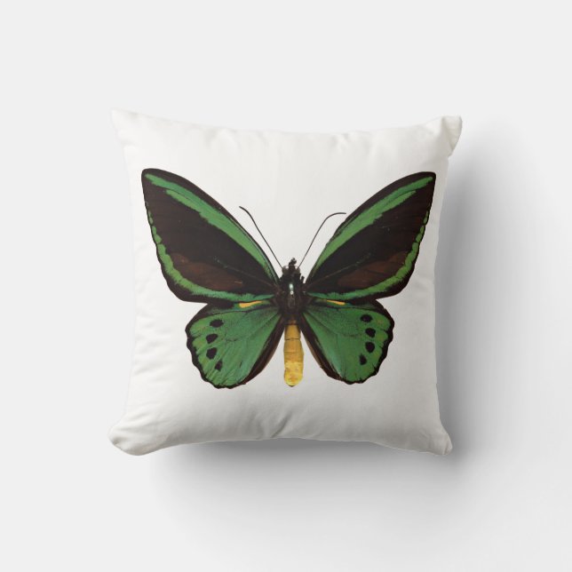 Almofada Borboleta Verde de Birdwing (Frente)