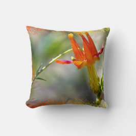 Almofada Borda Chamada Crimson Columbine