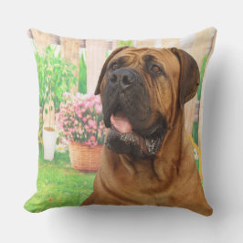 Almofada Bordeaux Mastiff