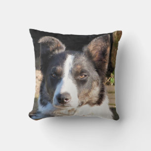 ALMOFADA BORDER COLLIE