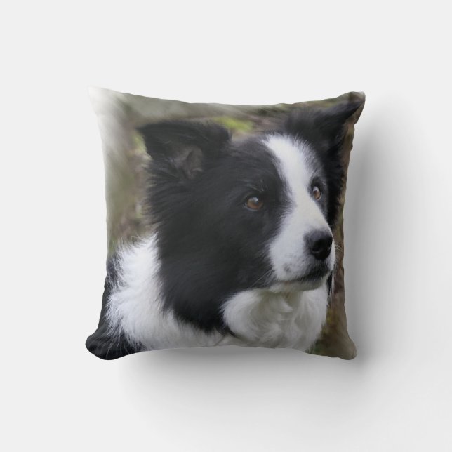 Almofada Border Collie Art (Frente)