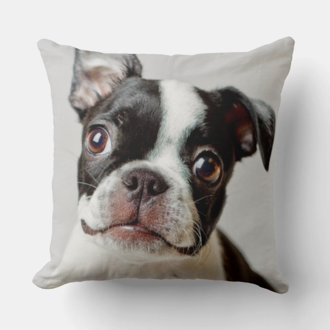 Almofada Boston Terrier (Frente)