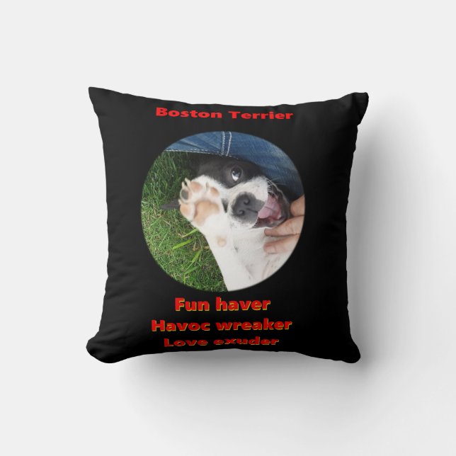 Almofada Boston Terrier - Fun Haver (Frente)
