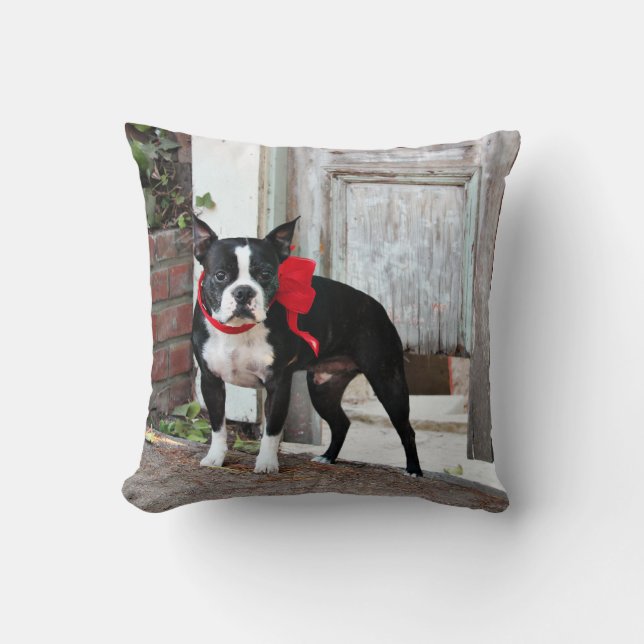 Almofada Boston Terrier - milhas (Frente)