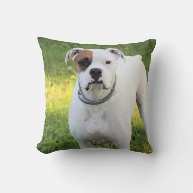 Almofada Boxer (Frente)