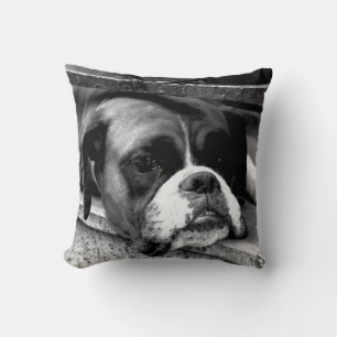 Almofada Boxer Dog no Travesseiro decorativo tpcn do Window