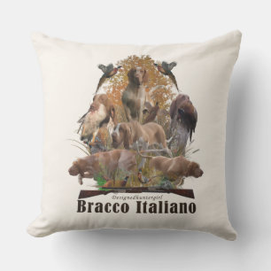 Almofada Bracco italiano