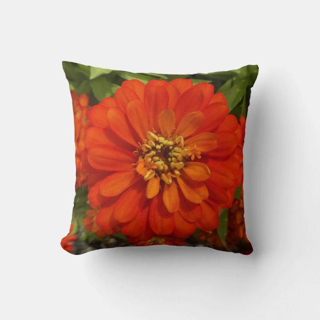 Almofada Bright Red Zinnia Trend  (Frente)