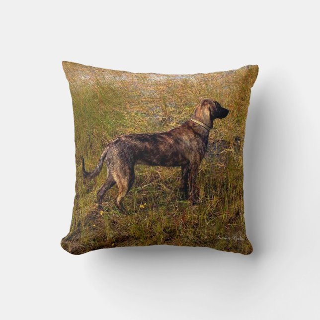 Almofada Brindle Plott Hound in Marsh Travesseiro decorativ (Frente)