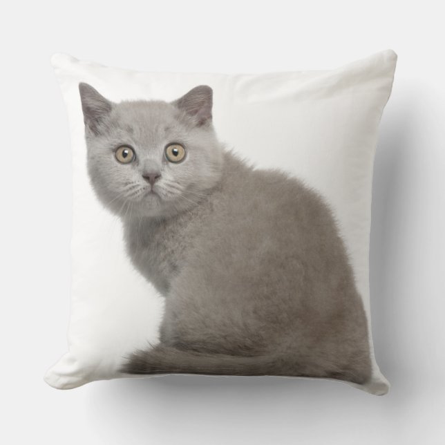 Almofada British Shorthair Kitten (10 semanas de idade) (Frente)