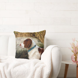 Almofada Brittany Spaniel - Cobre