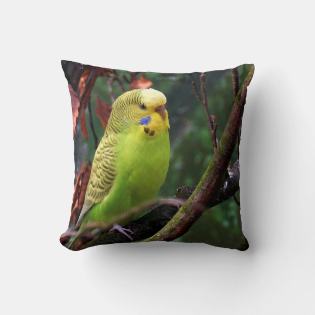 Almofada Budgie (Frente)