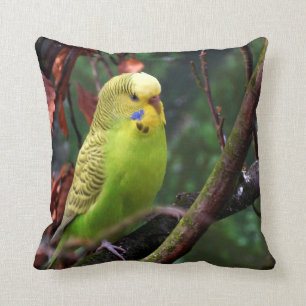Almofada Budgie