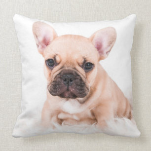 Almofada Buldogue francês