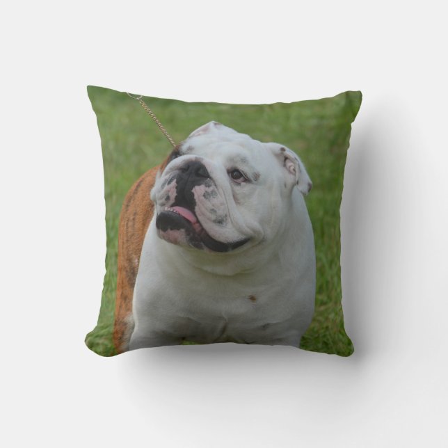 Almofada Buldogue grande (Frente)