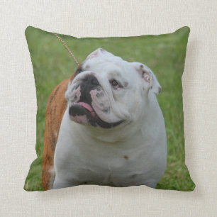 Almofada Buldogue grande