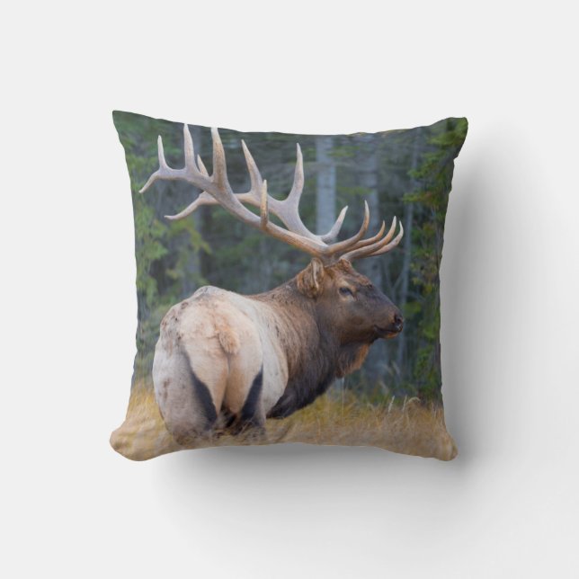Almofada Bull Rocky Mountain Elk (Frente)
