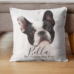 Almofada Bulldog Francês Personalizado com Foto Customizada