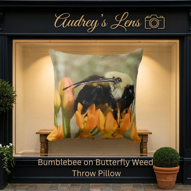 Almofada Bumblebee on Butterfly Weed (Criador carregado)