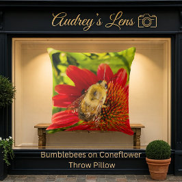 Almofada Bumblebee on Red Coneflower