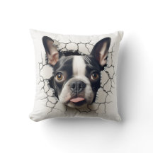 Buraco rachado 3D da Terrier Boston