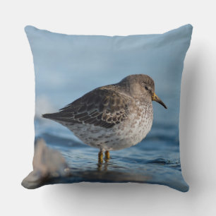 Almofada Buscando Sandpiper de Rock