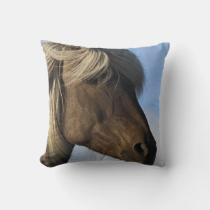 Almofada Cabeça de cavalo islandês, Islândia