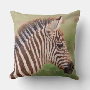 Almofada Cabeça de zebra bebê, Tanzânia