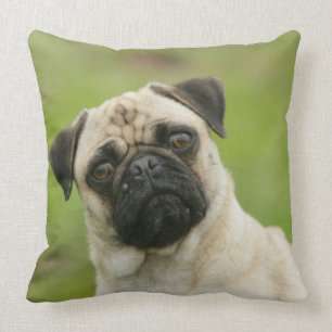 Almofada Cabeça do Pug armada olhando a câmera