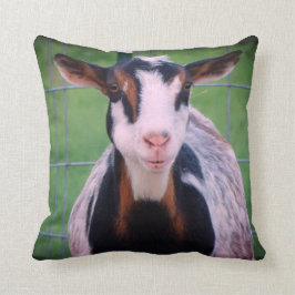 Almofada Cabra Leiteira Níger Colorida