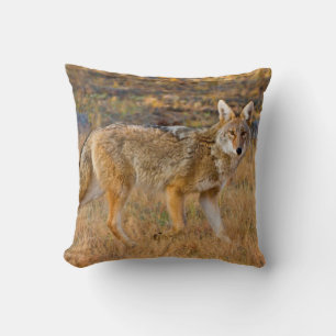 Almofada Caça ao coiote (Canis Latrans)