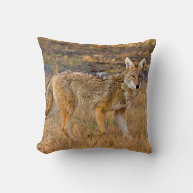 Almofada Caça ao coiote (Canis Latrans) (Frente)