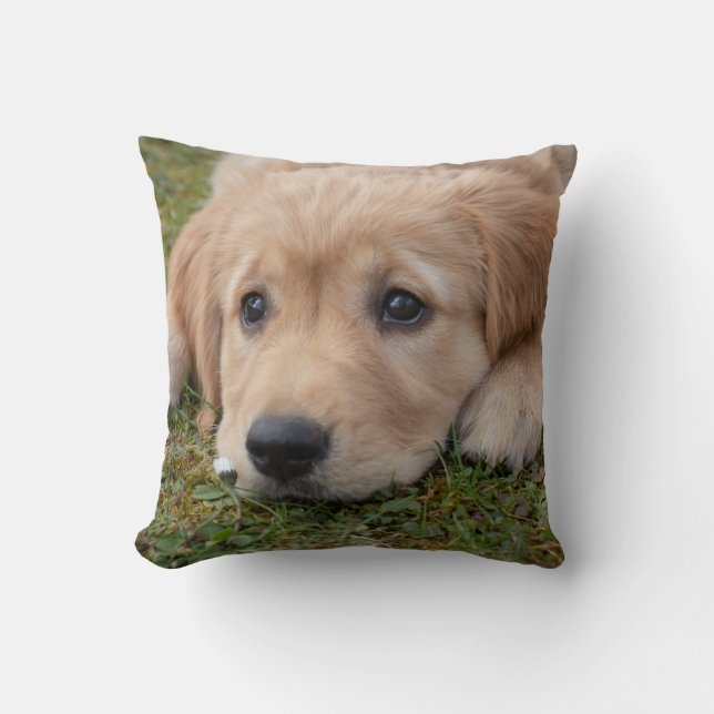 Almofada Cachorrinho Fofo (Frente)