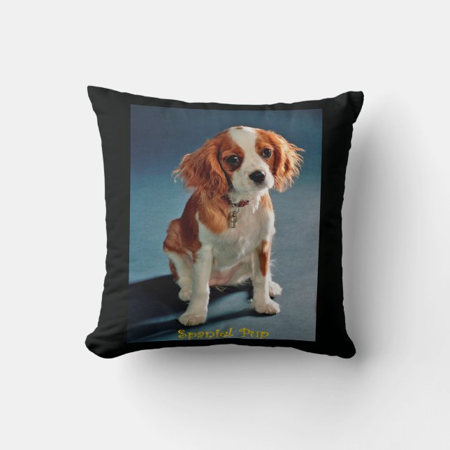 Almofada Cachorro Bonito Charles ~ Cavalier King Spaniel ~  (Frente)