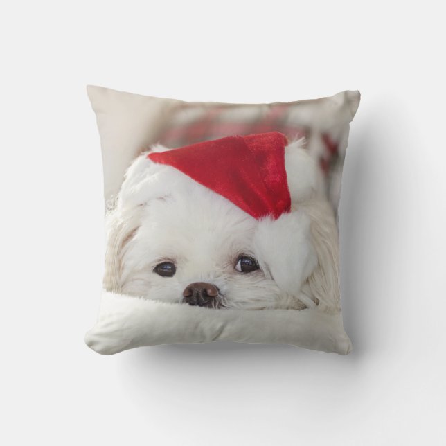 Almofada Cachorro Branco bonito num chapéu de Natal Vermelh (Frente)