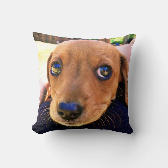 Almofada Cachorro Cachshund Puppy Castanho (Frente)